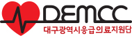 대구광역시응급의료지원단